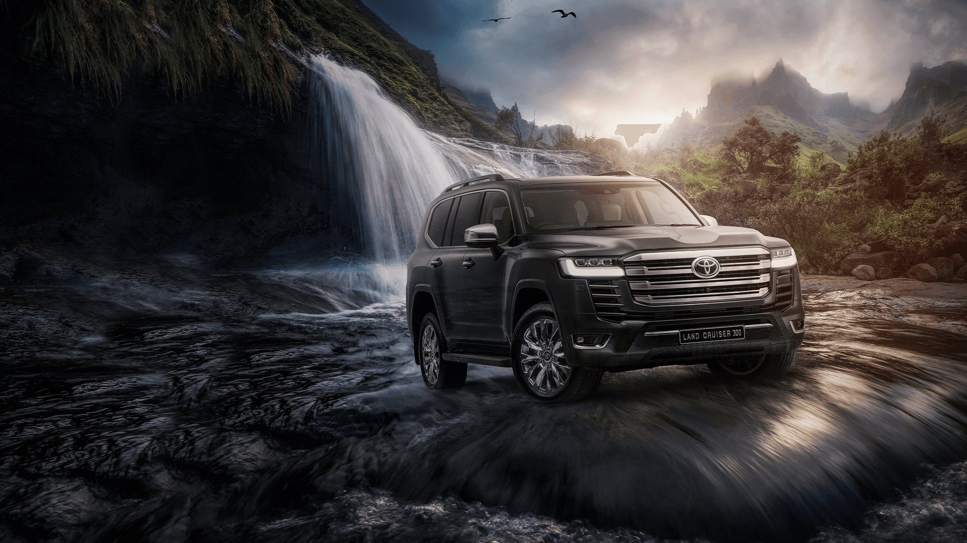 Why Choose Kings Air For Car Rentals