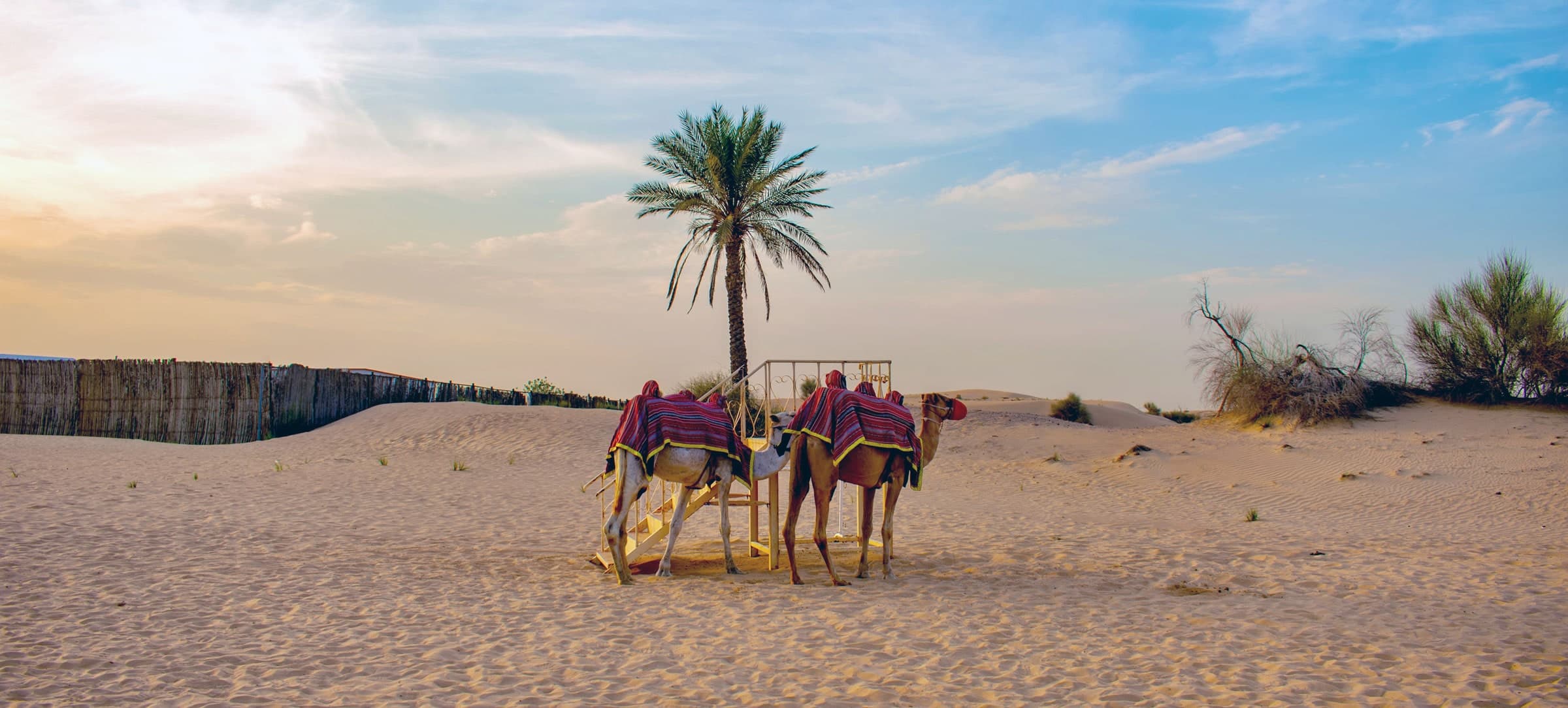 Desert Safari 7