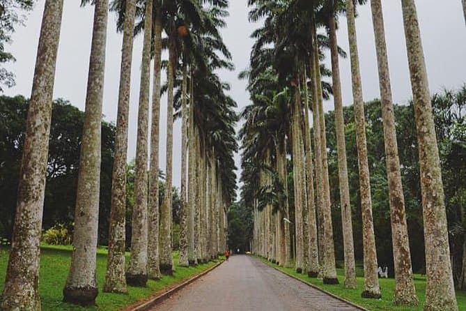 Aburi Botanical Gardens image