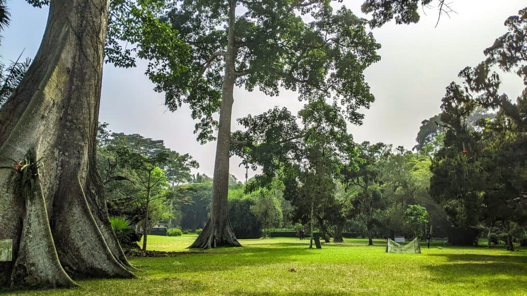 Aburi Botanical Gardens 2