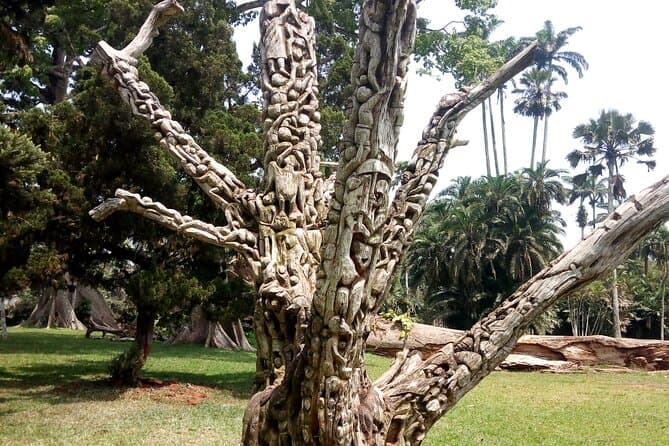 Aburi Botanical Gardens 6