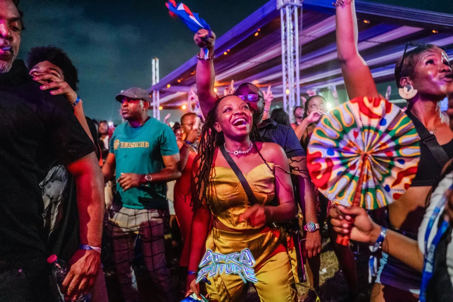 Music Festivals image