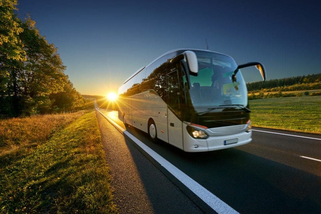 Bus