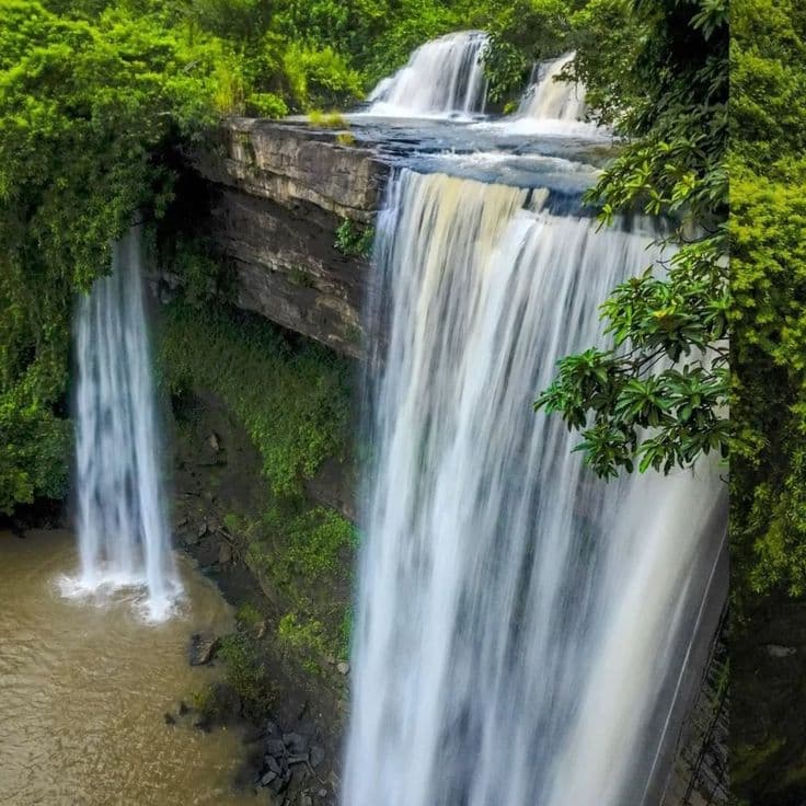Kakum National Park 2