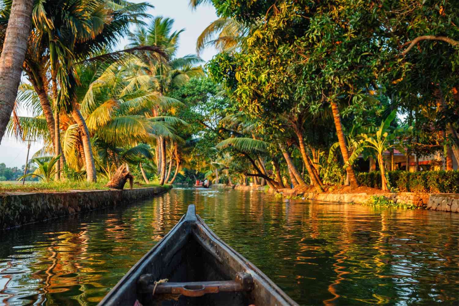 Kerala Backwaters 2