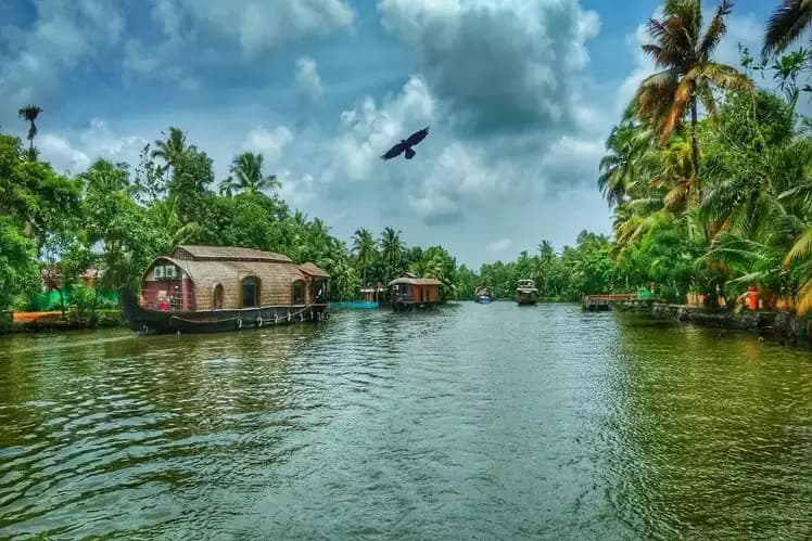 Kerala Backwaters 3