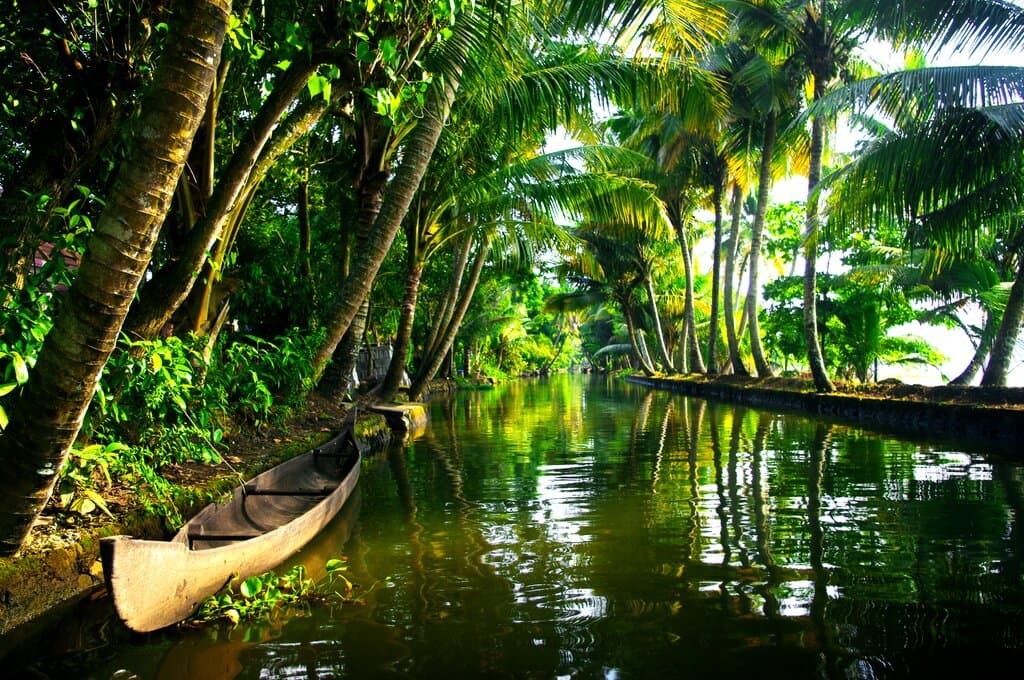 Kerala Backwaters 5