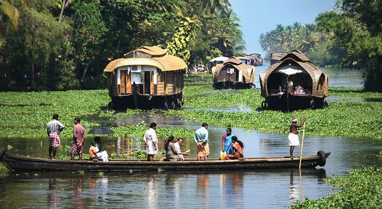 Kerala Backwaters 8