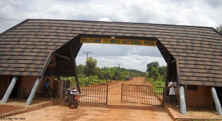 Mole National Park 2