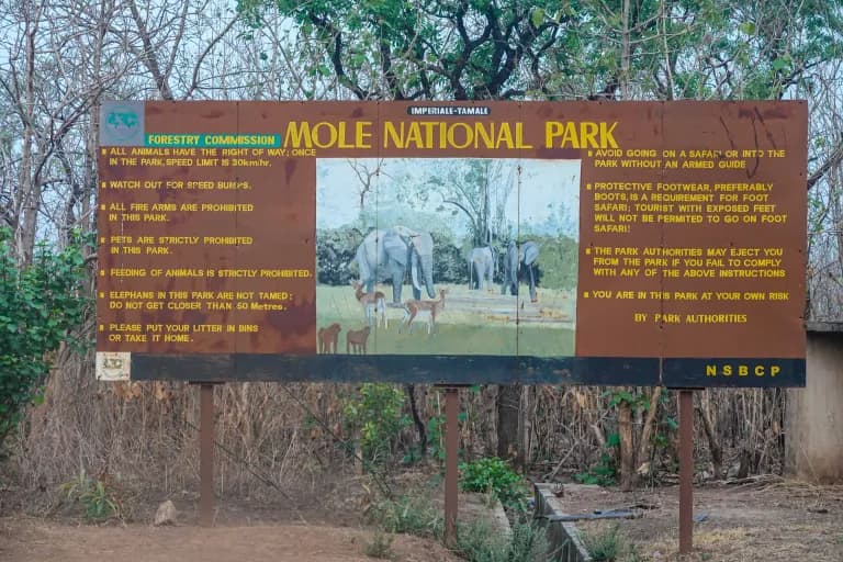 Mole National Park image