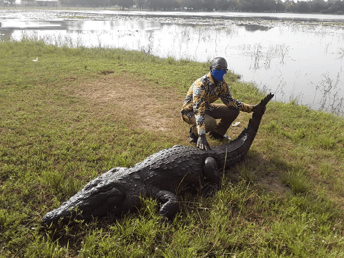 Paga Crocodile Pond 2