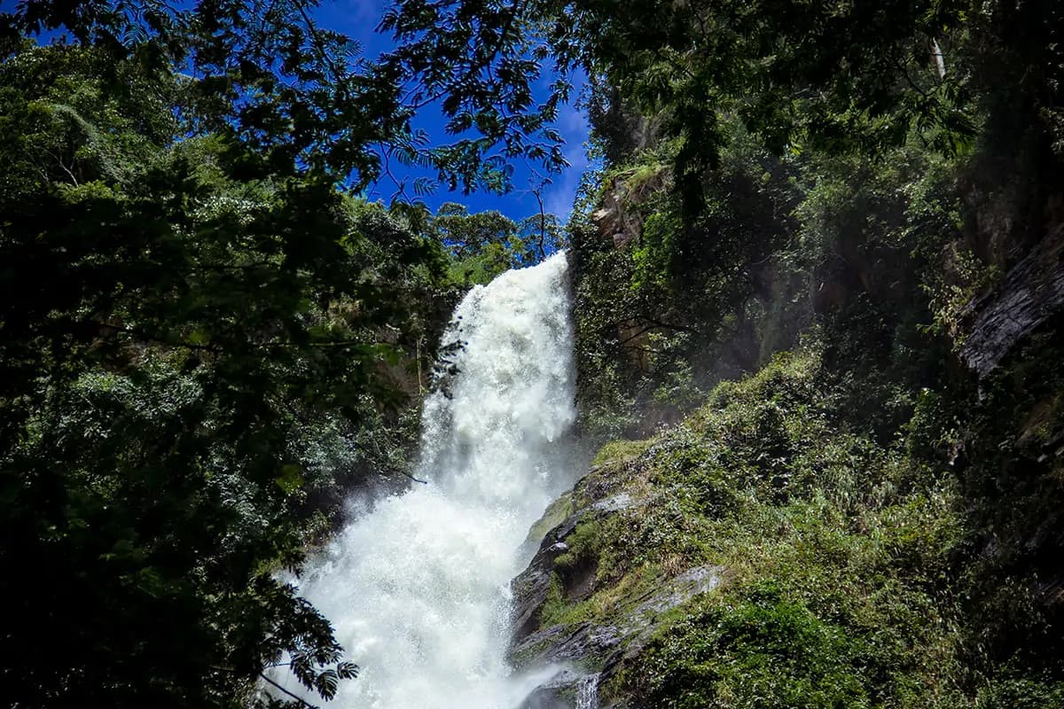 Wli Waterfalls 4